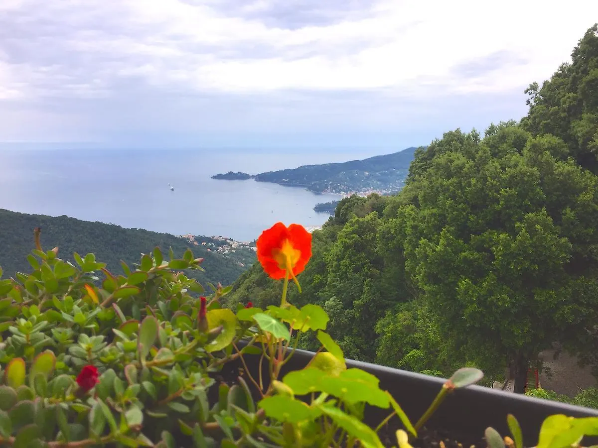 Hotel Montallegro Rapallo